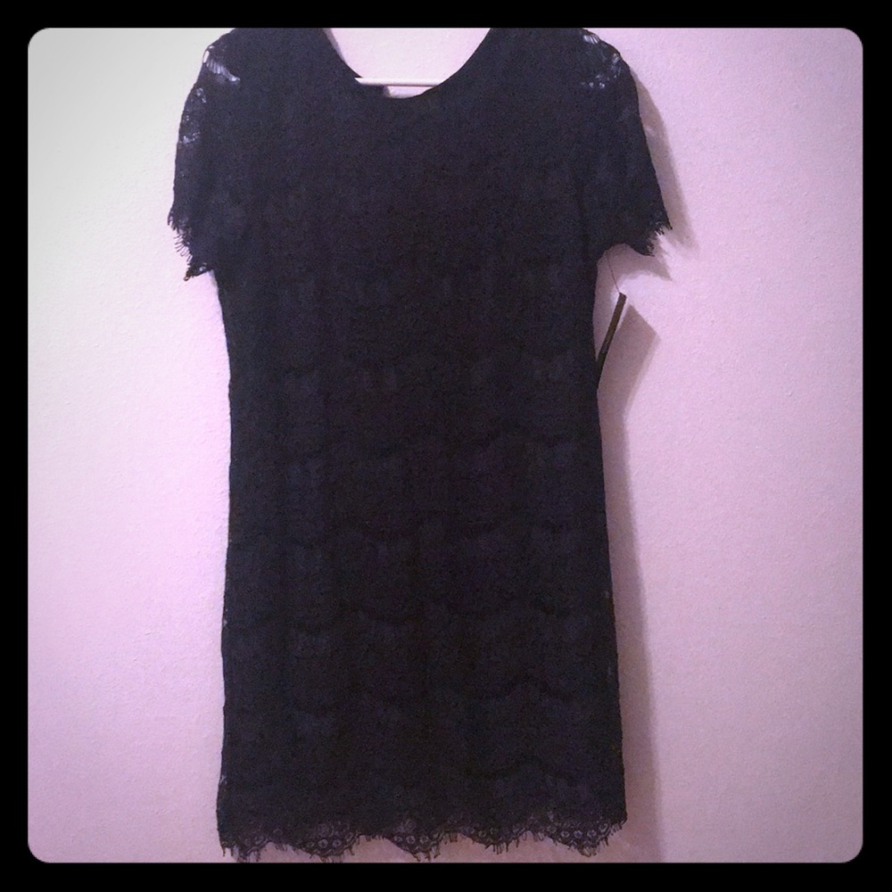 Take Me to Brunch Navy Blue Lace Shift Dress